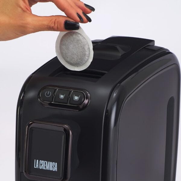 36538130